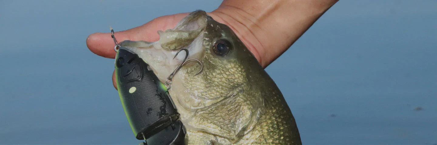 SaltWaterLure│ Abu Garcia（アブガルシア）公式サイト │ Abu Garcia