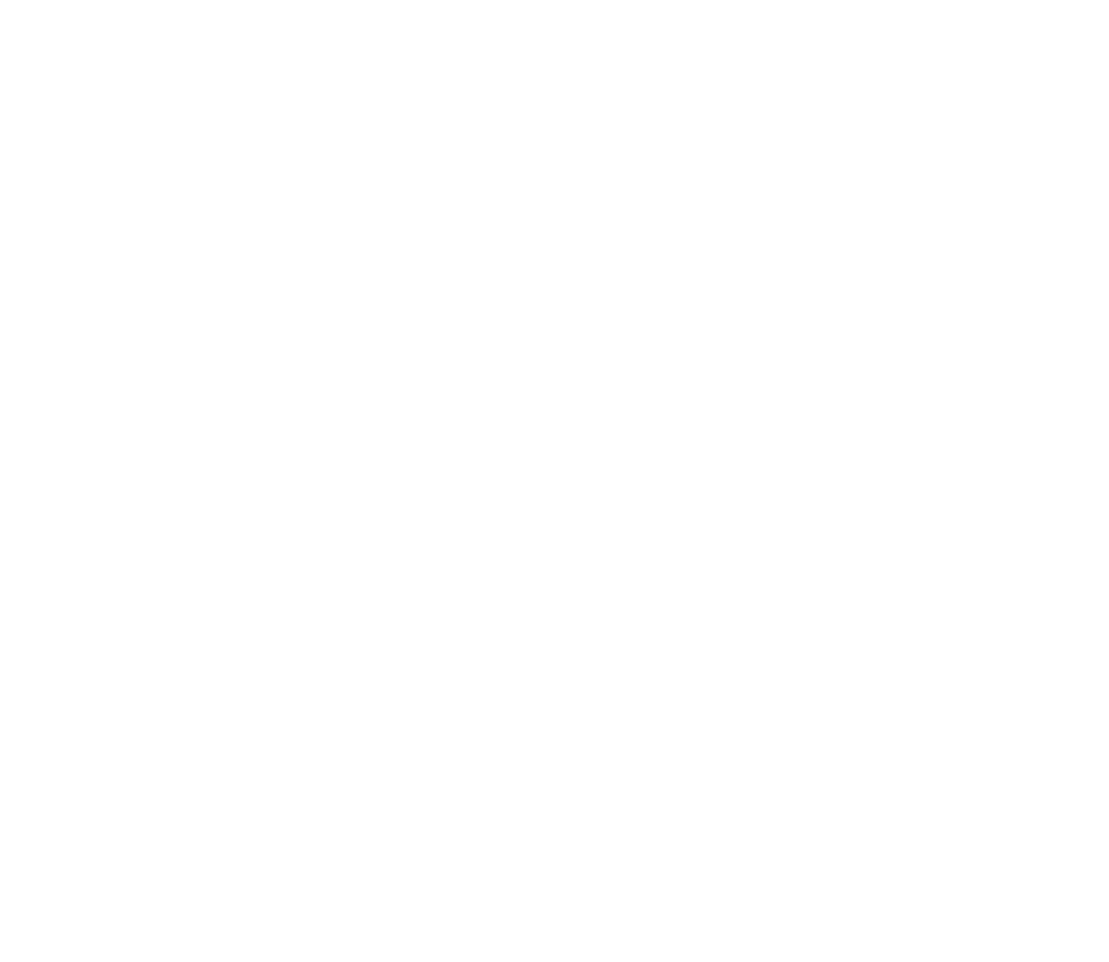 FEATURE02 ナノカーボンブランクス